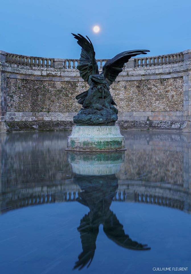 Aigle se préparant à défendre sa proie - château de Fontainebleau