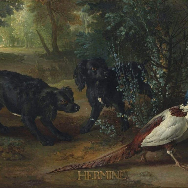 Exposition Cave Canem ! Jean-Baptiste Oudry et les chiens de Louis XV - Cadet et Hermine, acquisition