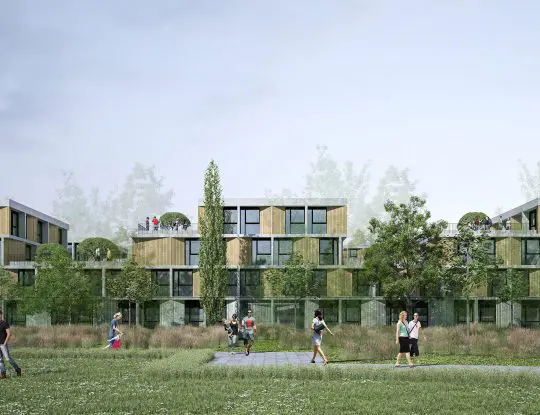 Projet-Héronnières-Synthèse-IAC-005