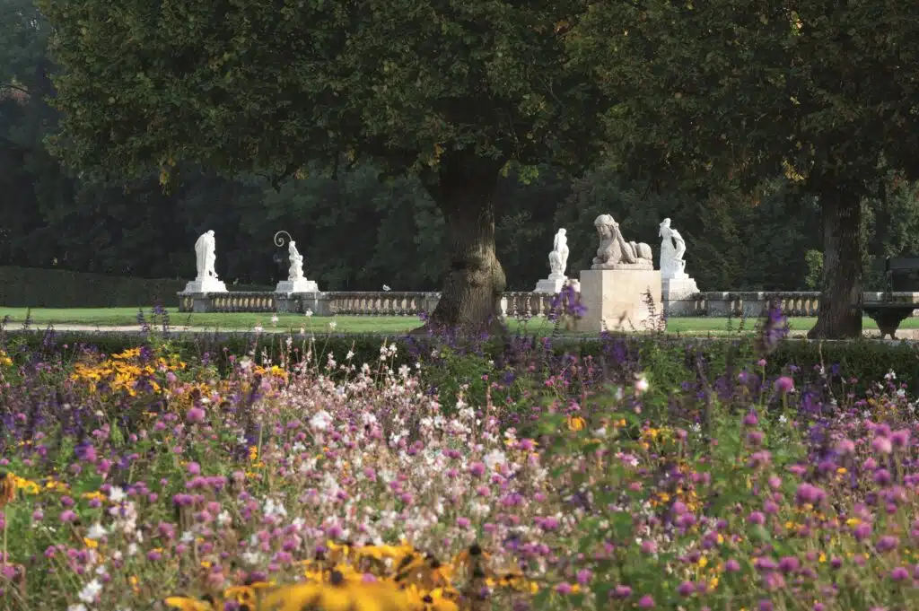 Parterre fleuri - le printemps au château de Fontainebleau
