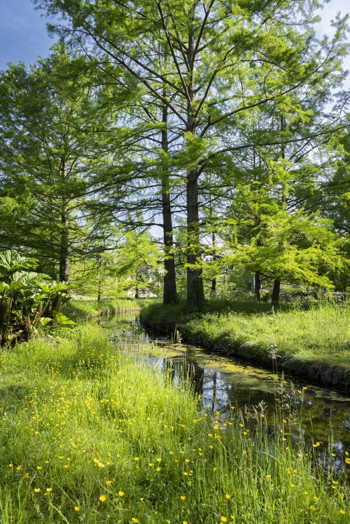 Le printemps 2024 au château de Fontainebleau