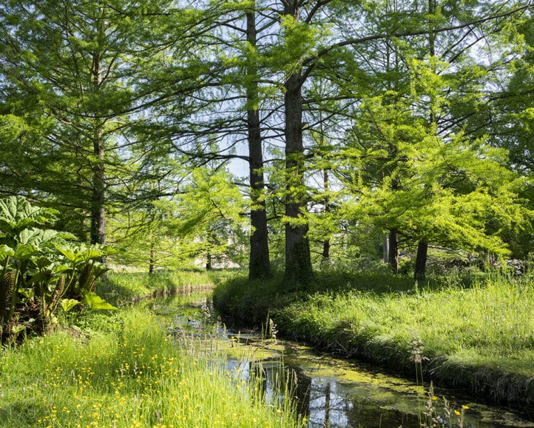 Le printemps 2024 au château de Fontainebleau