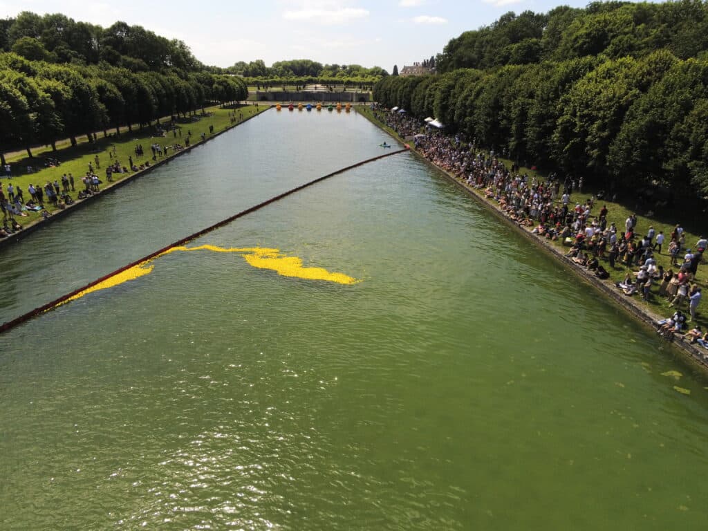 Duck Race